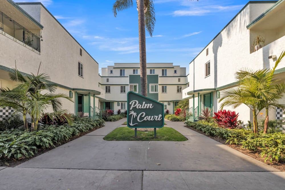 Palm Court apartments and landscaped entrance beneath tall palm trees