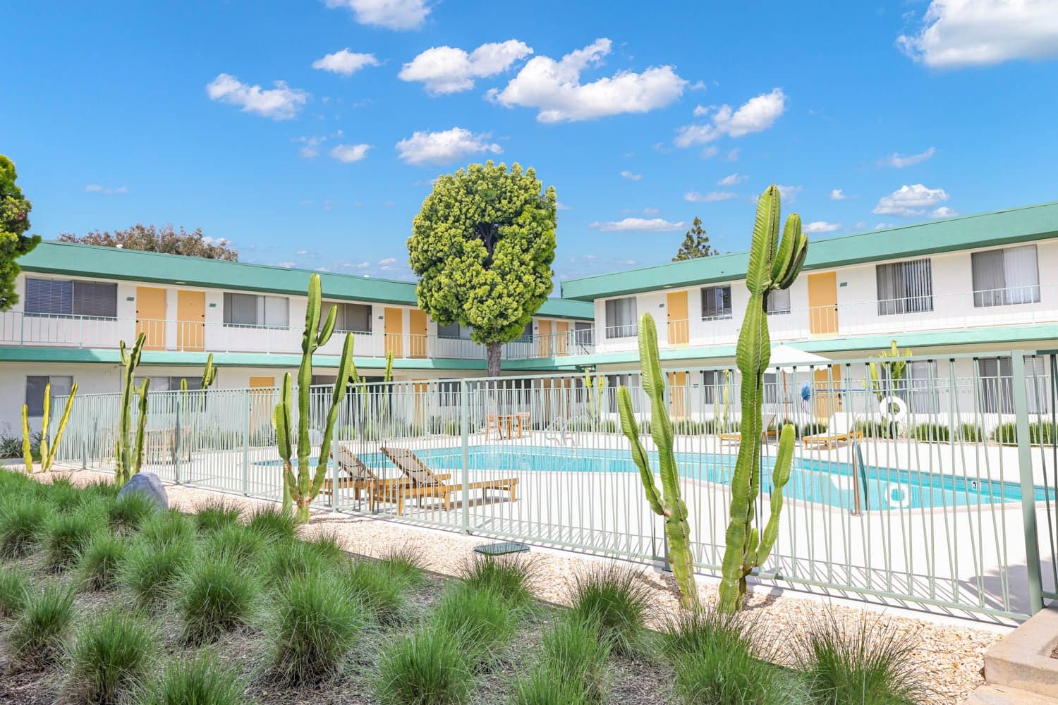 Paloma pool courtyard framed by cactus and garden landscaping